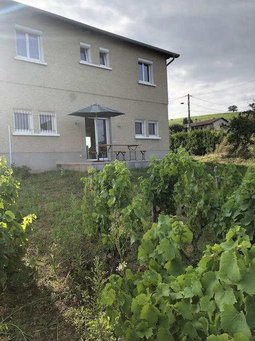 Petit Gite De Javernieres Rez De Jardin Villié-Morgon Kültér fotó